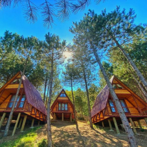 Bolu